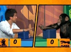 Neox tv chimpances